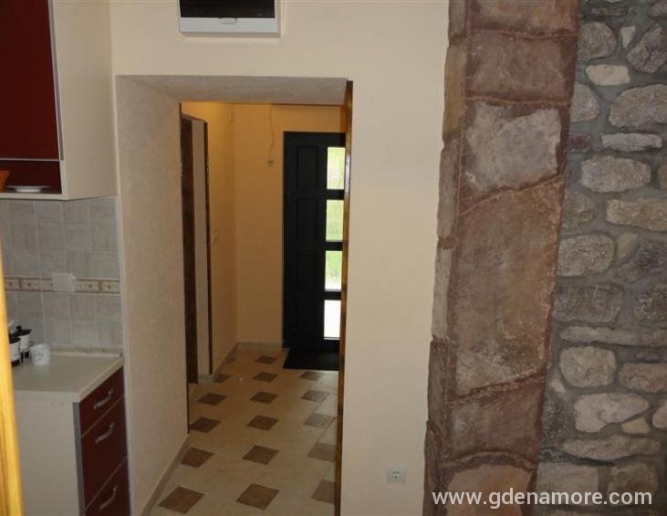 apartman 1